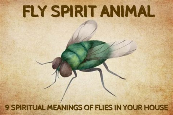 9 Spiritual Meanings of Flies In Your House ·