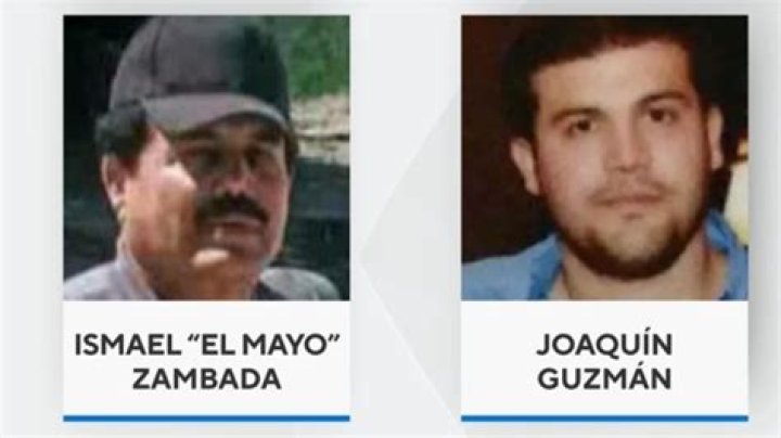 PulseVibe | Mexicos former drugs tsar Genaro Garcia Luna convicted for aiding El Chapo cartel
