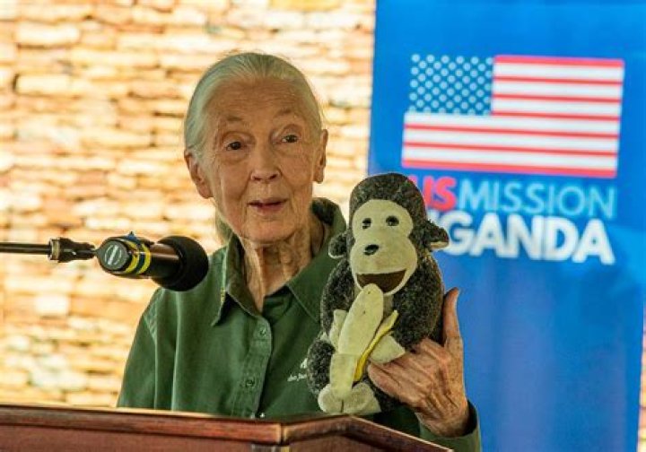Unveiling The Extraordinary Legacy Of Jane Marczewski: Discoveries And Insights