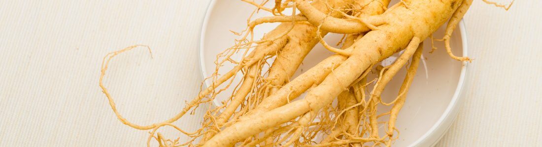 Panax ginseng